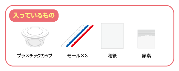 【実験キット】時短結晶をつくろう【夏休みの自由研究にもオススメ】 セット内容画像