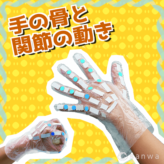 手の骨と関節の動き|タイトル画像