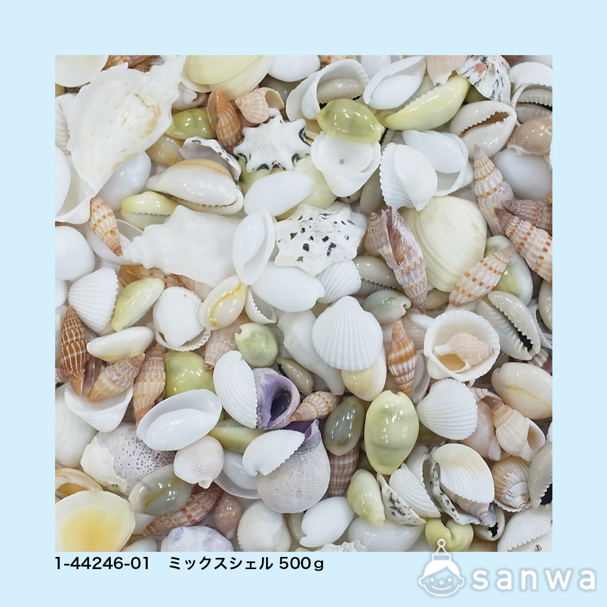 ミックスシェル500gの商品サムネイル画像1
