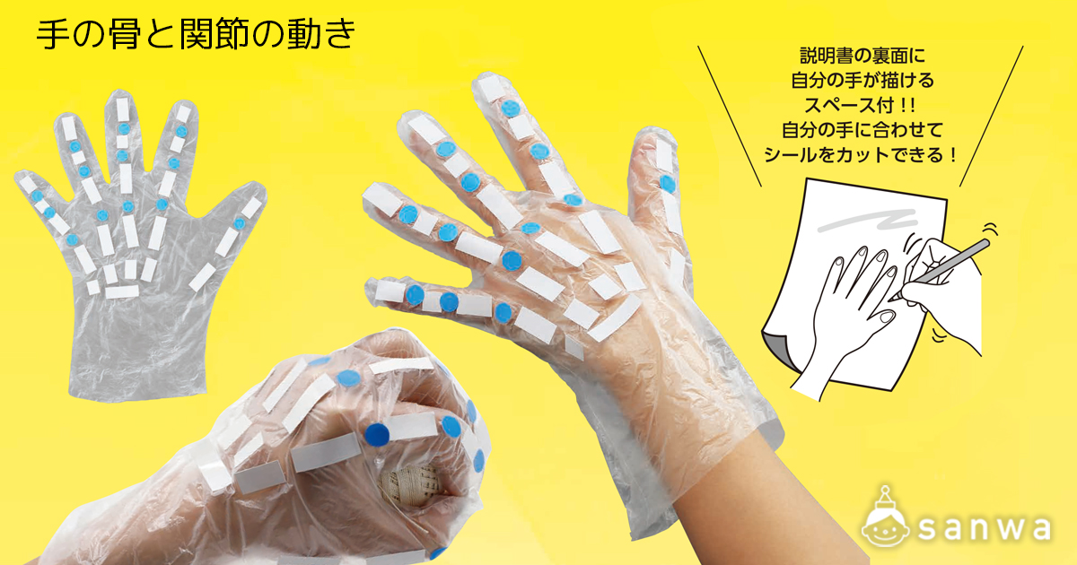 手の骨と関節の動き 遊び方画像