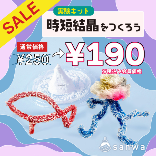 【夏休みの自由研究にもオススメ】時短結晶をつくろう サムネイル