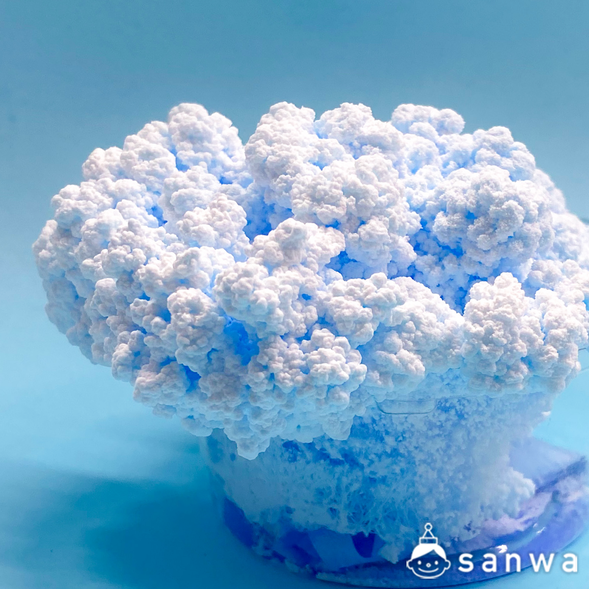 実験 実験キット】くらべる結晶【知育になる】（科学工作・科学実験, ３００円以下の工作, 知育になる工作） | イベント工作キットの「たのつく」