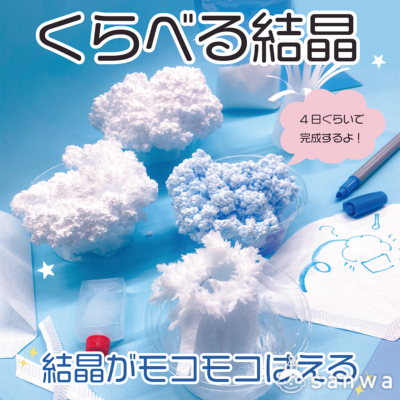 【実験キット】くらべる結晶【知育になる】