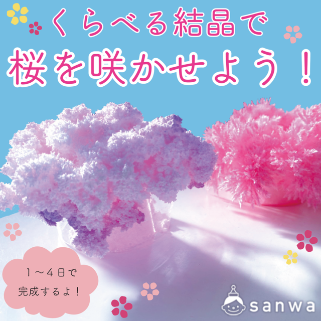 【イベントにピッタリ】くらべる結晶で桜を咲かせよう メイン画像