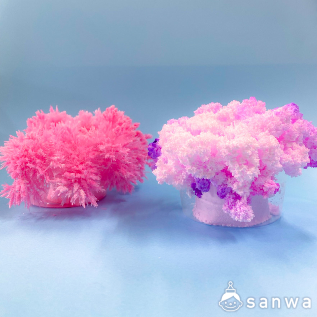 【実験キット】くらべる結晶【知育になる】の商品スライド画像4