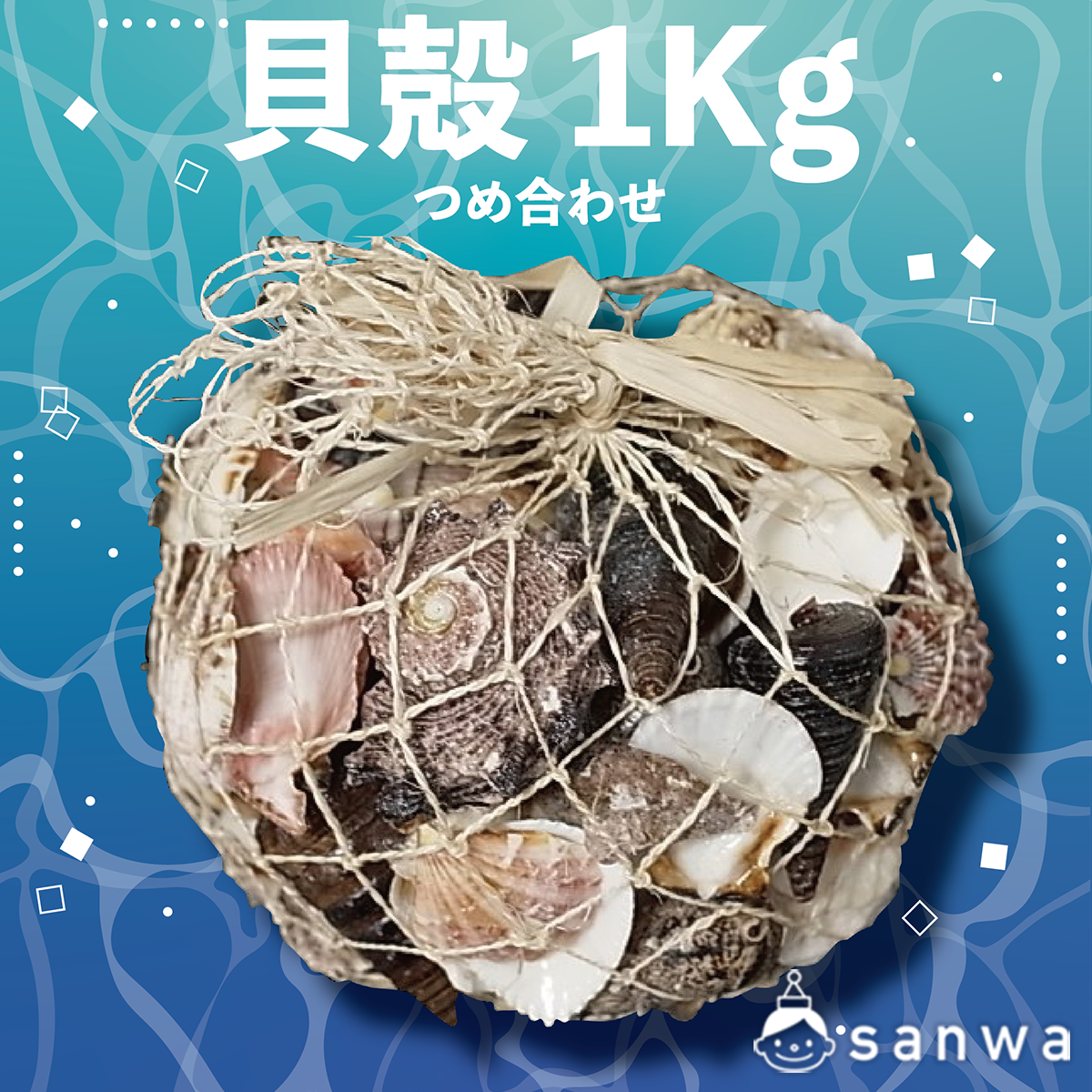 貝殻1kg詰め合わせ(アバカ袋) | 教材商品案内 | 図工・美術教材の 