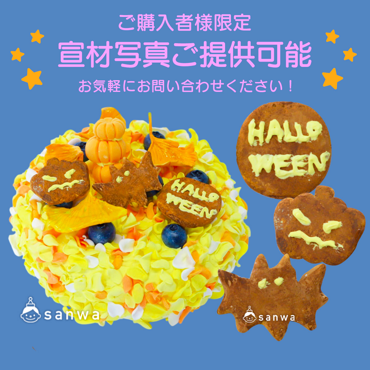 宣材画像ご提供可能 画像