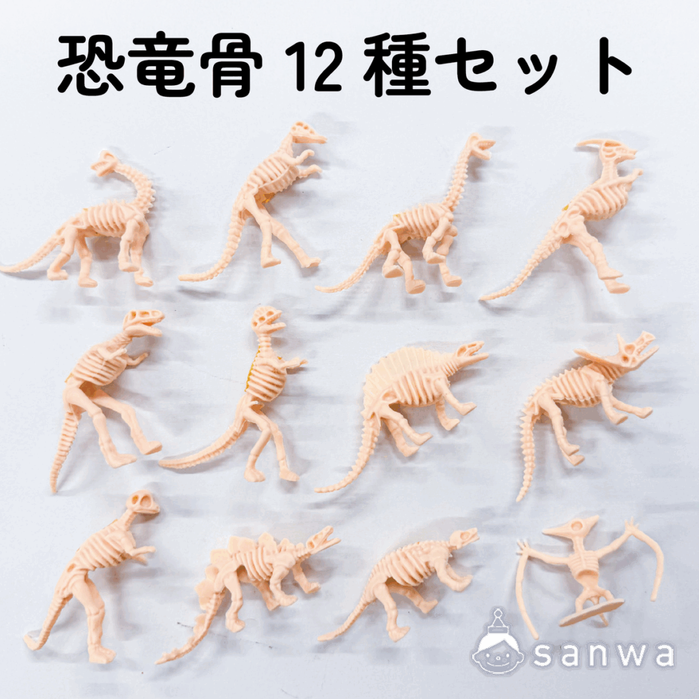 【大人気】恐竜骨12種セット【ティラノサウルス】