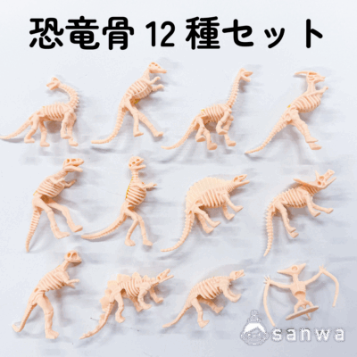 【大人気】恐竜骨12種セット【ティラノサウルス】
