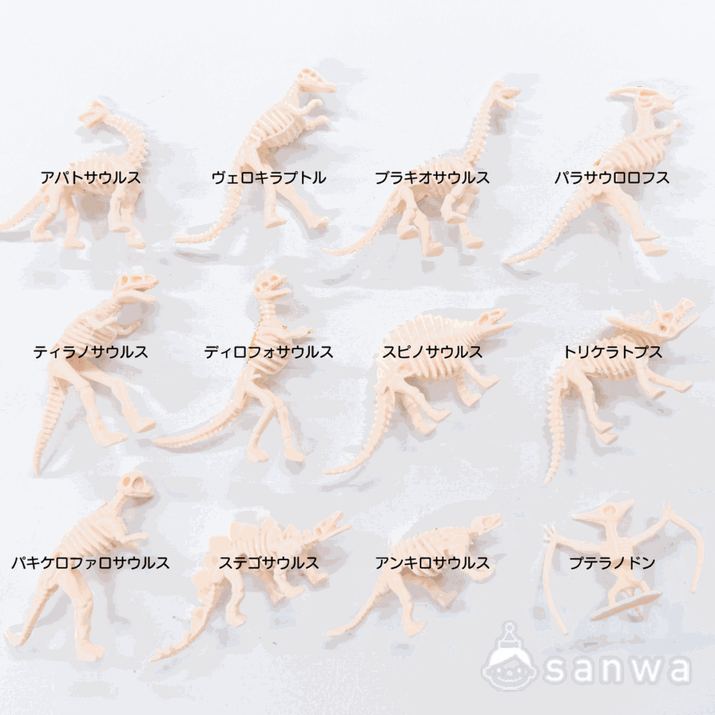 【大人気】恐竜骨12種セット【ティラノサウルス】の商品スライド画像2