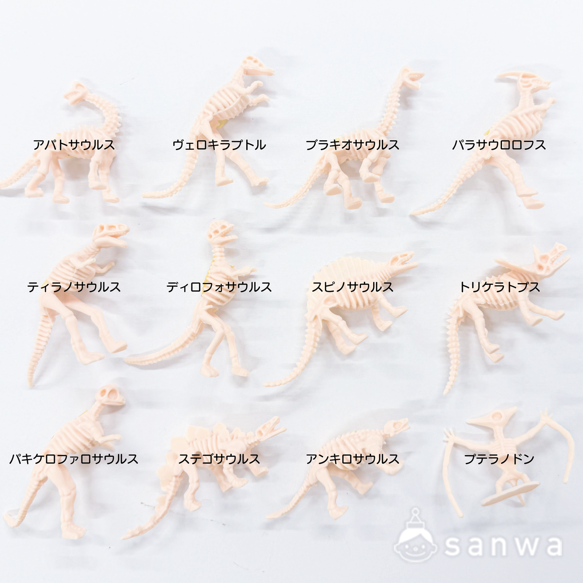 【大人気】恐竜骨12種セット【ティラノサウルス】