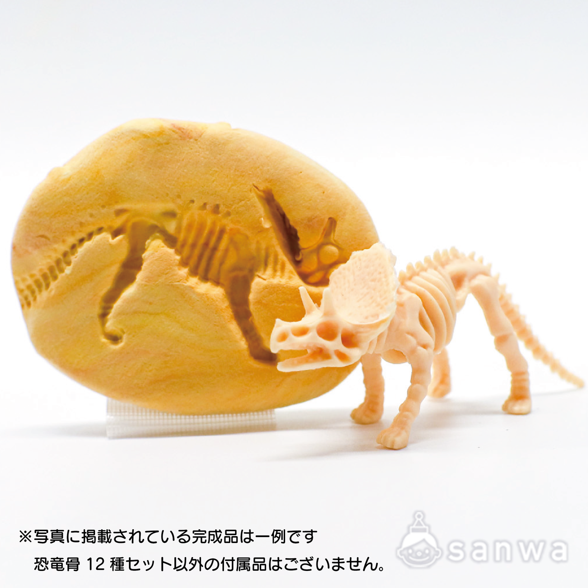 【大人気】恐竜骨12種セット【ティラノサウルス】