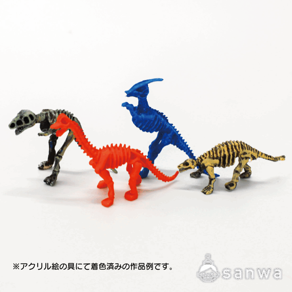 【大人気】恐竜骨12種セット【ティラノサウルス】の商品スライド画像4