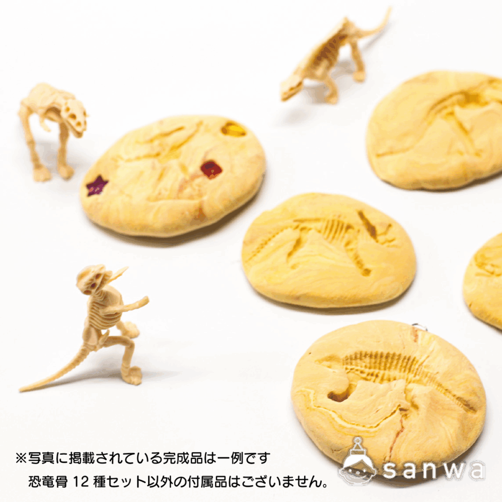 【大人気】恐竜骨12種セット【ティラノサウルス】の商品スライド画像5