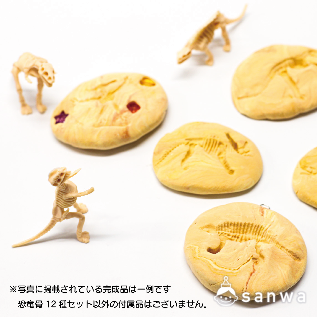 【大人気】恐竜骨12種セット【ティラノサウルス】