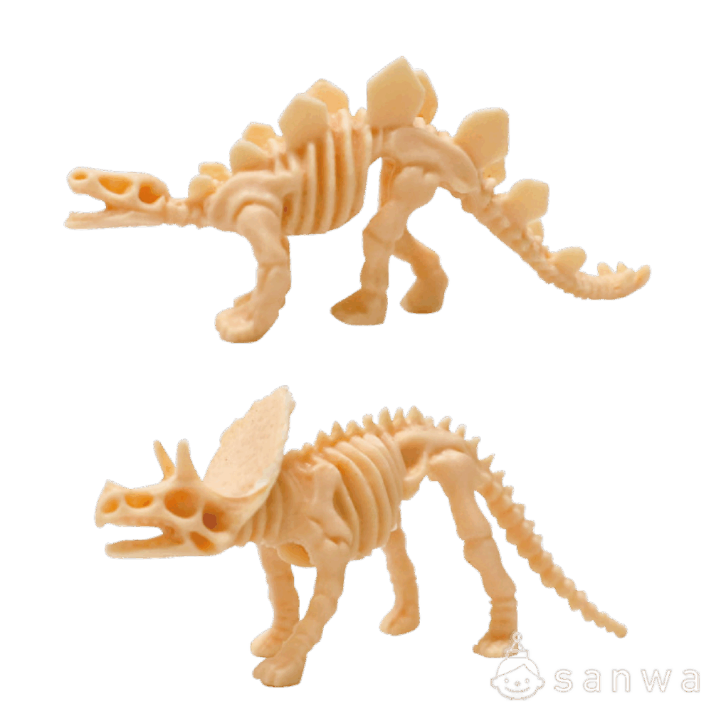 【大人気】恐竜骨12種セット【ティラノサウルス】の商品スライド画像6