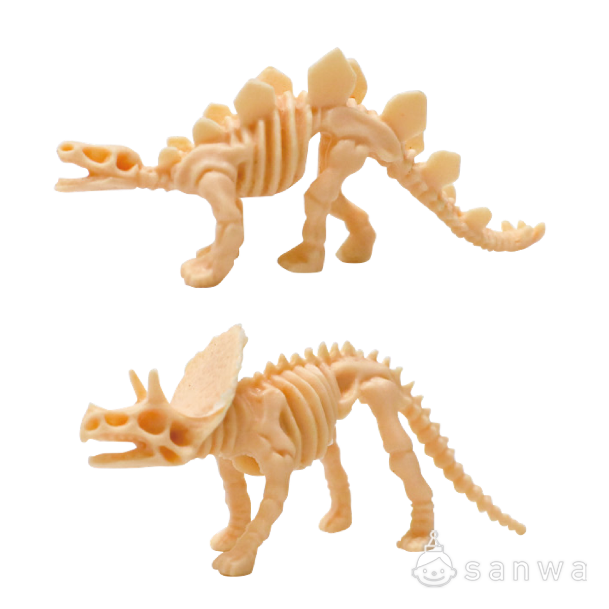 【大人気】恐竜骨12種セット【ティラノサウルス】