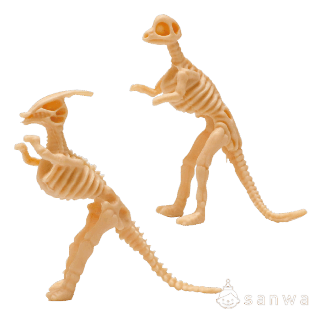 【大人気】恐竜骨12種セット【ティラノサウルス】の商品スライド画像7