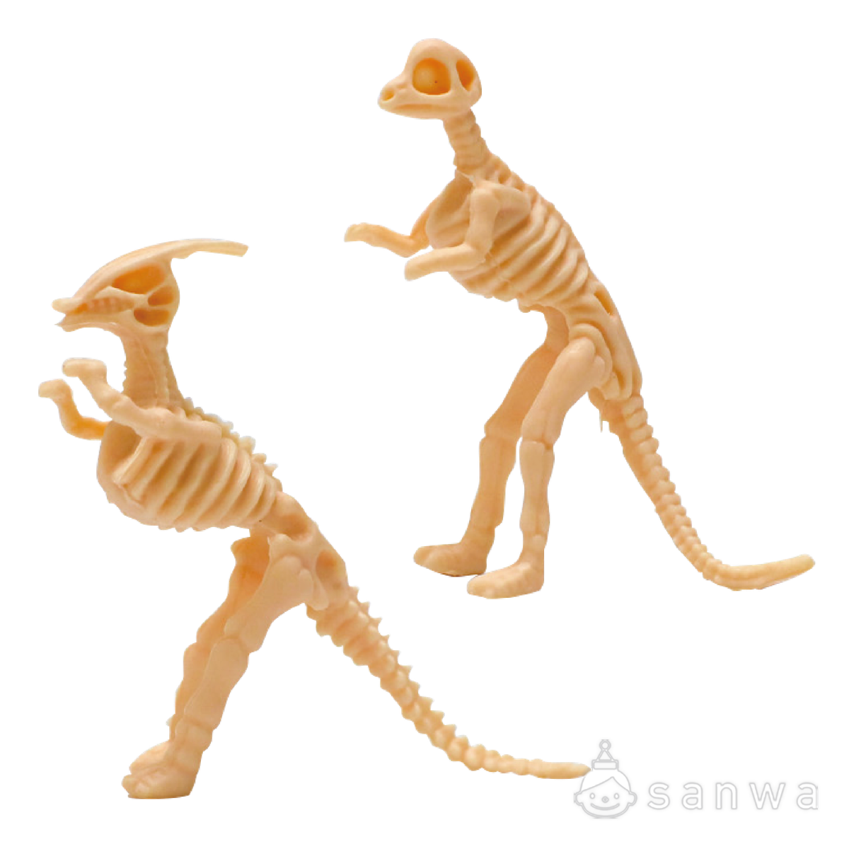 【大人気】恐竜骨12種セット【ティラノサウルス】