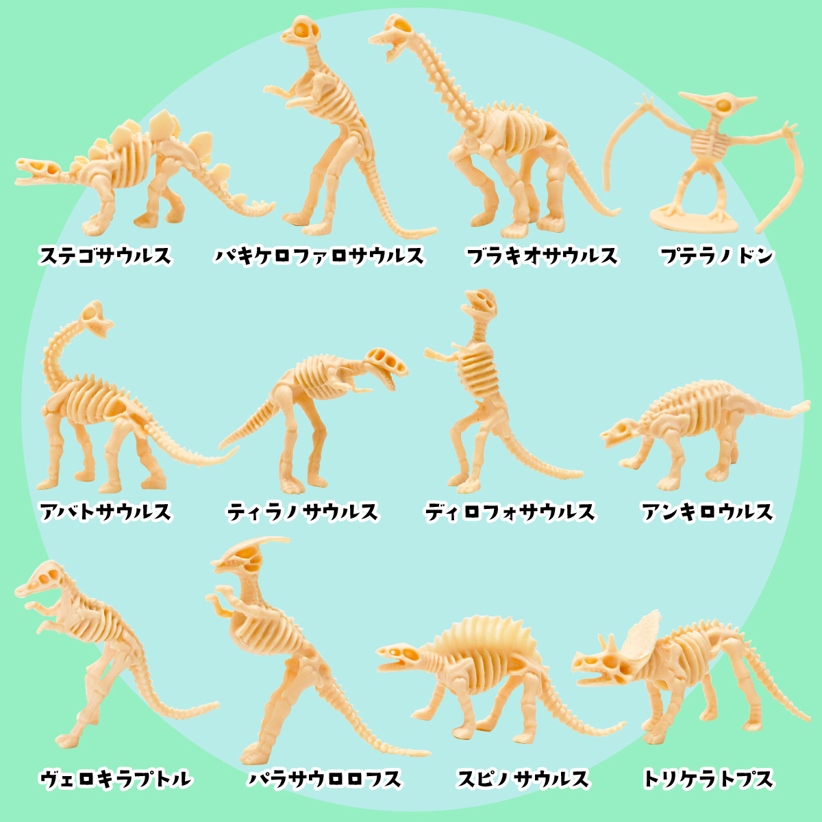『恐竜骨12種セット』とは 画像