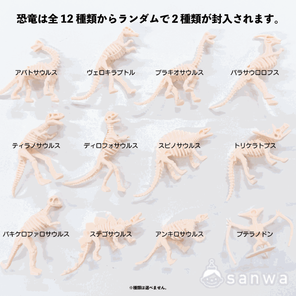 【新商品】恐竜発見ｷｰﾎﾙﾀﾞｰｷｯﾄ【作って使える】の商品スライド画像4