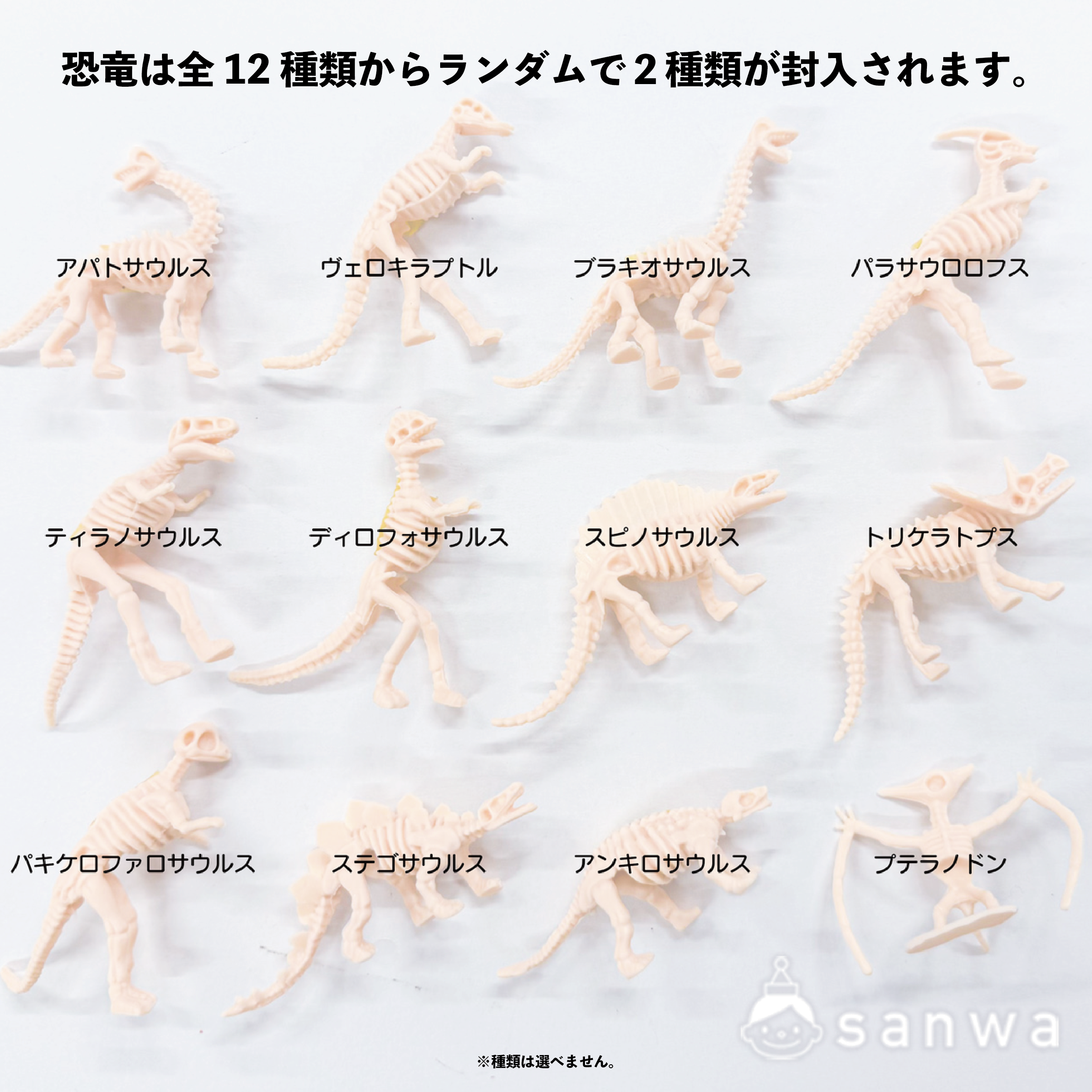 【新商品】恐竜発見ｷｰﾎﾙﾀﾞｰｷｯﾄ【作って使える】